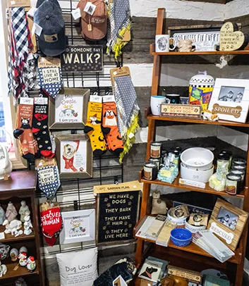 Something for your Furry Friends in the Pet Corner